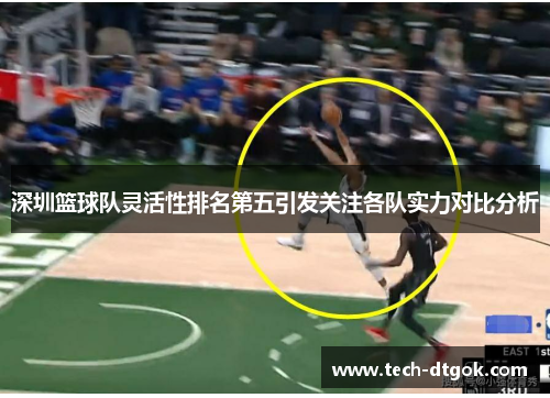 深圳篮球队灵活性排名第五引发关注各队实力对比分析
