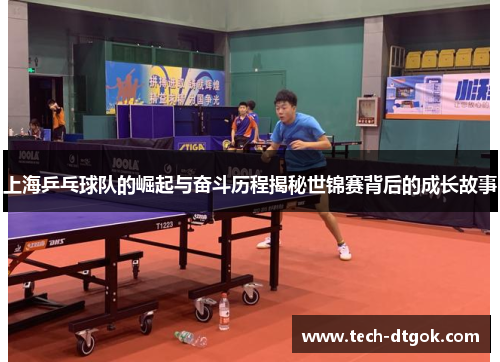 上海乒乓球队的崛起与奋斗历程揭秘世锦赛背后的成长故事