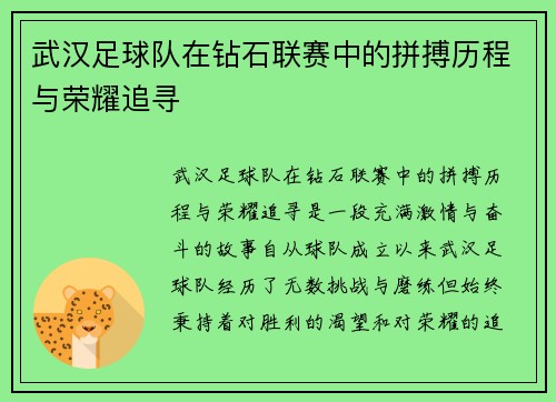 武汉足球队在钻石联赛中的拼搏历程与荣耀追寻